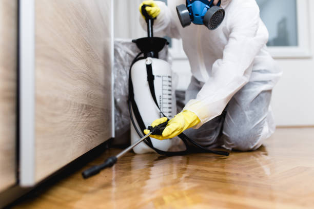 Best Wasp Removal Services  in Chicago, IL