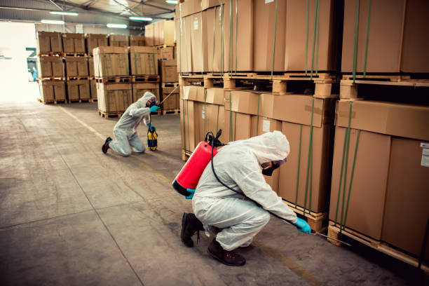 Best Bed Bug Extermination  in Chicago, IL