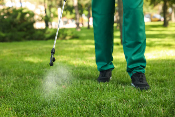 Best Affordable Pest Control Services  in Chicago, IL
