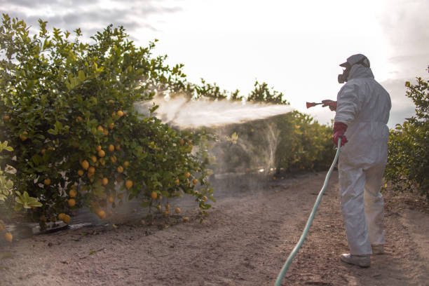 Best Commercial Pest Control Services  in Chicago, IL