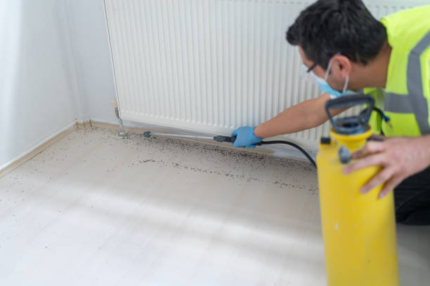 Best Wasp Removal Services  in Chicago, IL